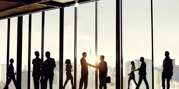 Direct Liaison with Customs Officials: Your Dedicated Intermediary